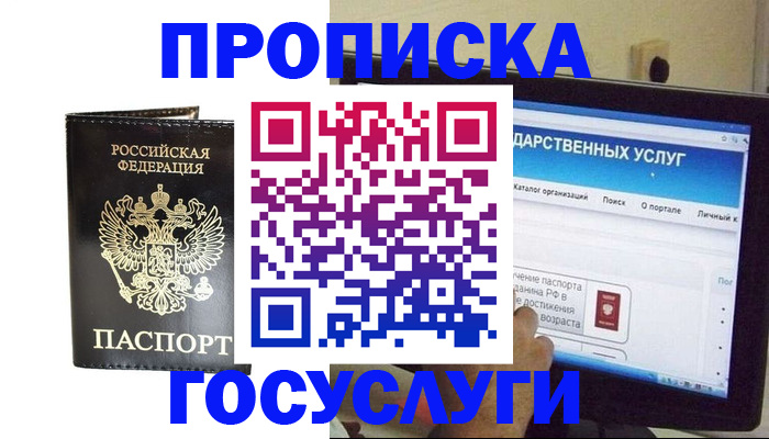 прописка гарантия в Читинской области